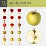 Alluring Apples Collection