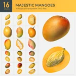 Majestic Mangoes Collection