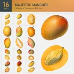 Majestic Mangoes Collection