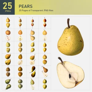 Pears Collection