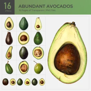 Abundant Avocados Collection