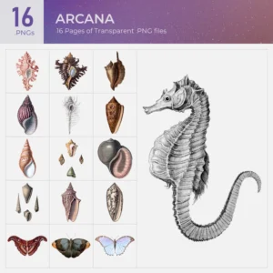 Arcana Collection