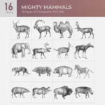 Mighty Mammals Collection