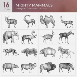 Mighty Mammals Collection