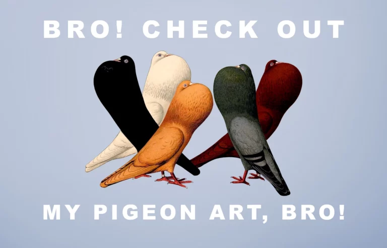 Bro! Check Out My Pigeon Art, Bro!