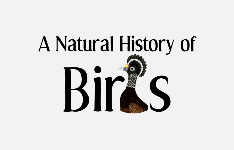 A Natural History of Birds (1731-1738)
