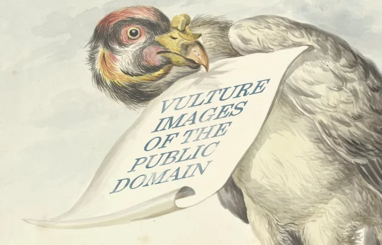 Vulture Images of the Public Domain