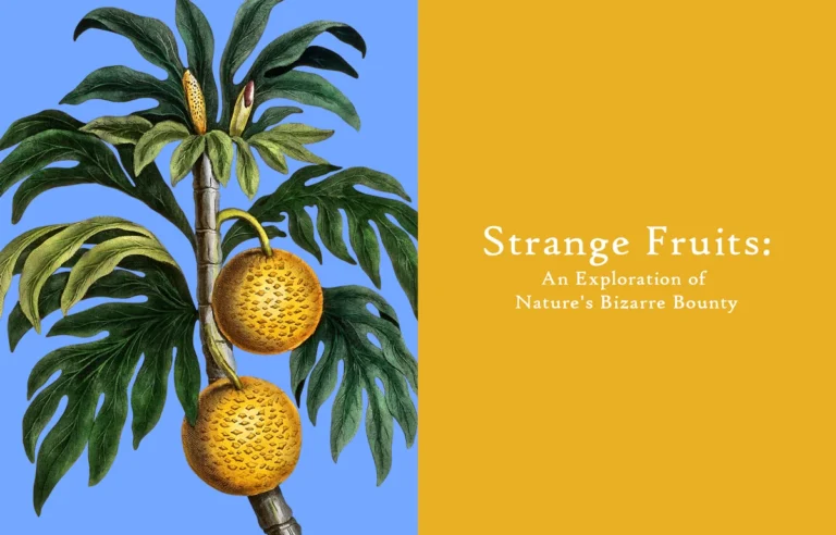 Strange Fruits