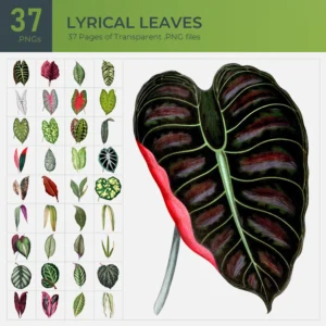 Lyrical Leaves Collection