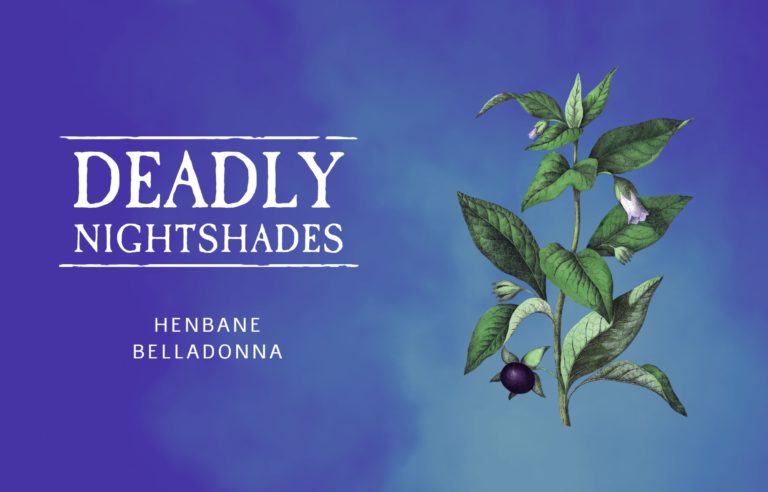 Deadly Nightshades (Part 2)