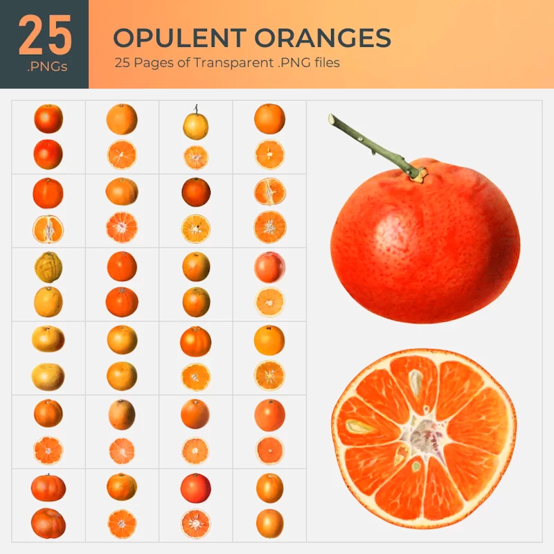 Opulent Oranges Collection