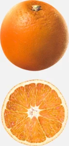 Washington Navel Orange