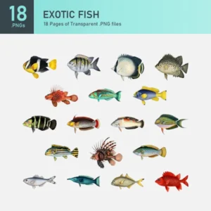 Exotic Fish Collection