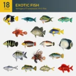 Exotic Fish Collection