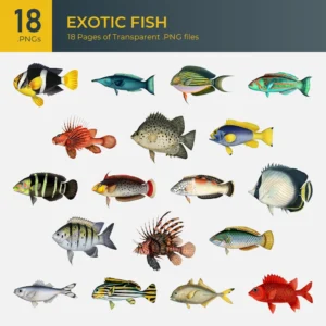 Exotic Fish Collection