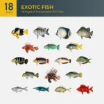 Exotic Fish Collection