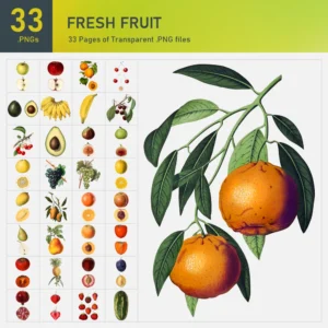 Fresh Fruit Collection