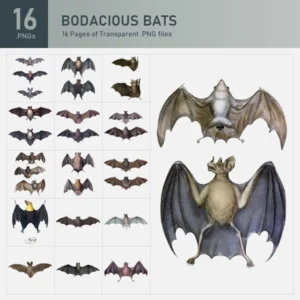 Bodacious Bats Collection