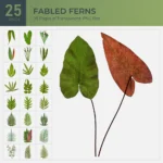 Fabled Ferns Collection