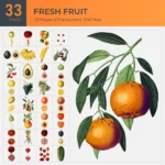 Fresh Fruit Collection