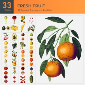 Fresh Fruit Collection