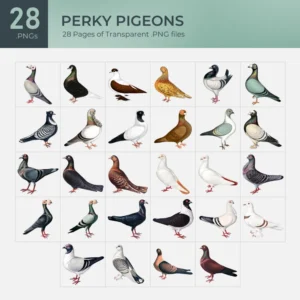 Perky Pigeons Collection