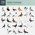 Perky Pigeons Collection