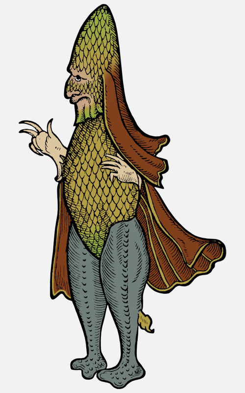 Sea Bishop from Conrad Gessner Historia animalium 1558 Sea Monsters