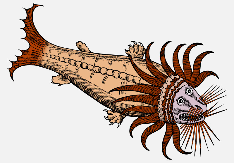 Kraken from Conrad Gessner Historia animalium 1558 Sea Monsters