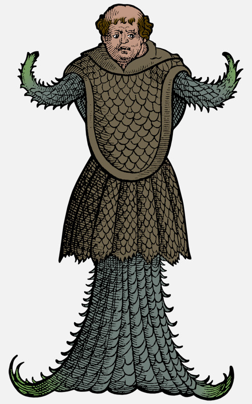 Sea Monk from Conrad Gessner Historia animalium 1558 Sea Monsters