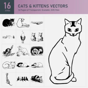 Cats Vectors Collection