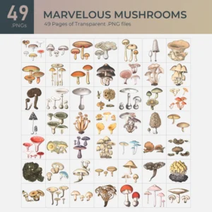 Marvelous Mushrooms Collection