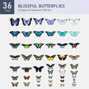 Blissful Butterflies Collection