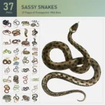 Sassy Snakes Collection