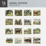 Animal Posters Collection