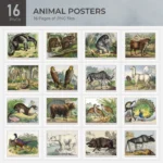 Animal Posters Collection