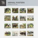 Animal Posters Collection