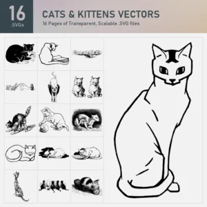 Cats & Kittens Vectors Collection