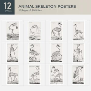 Animal Skeleton Posters Collection