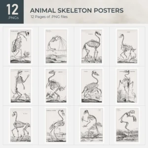 Animal Skeleton Posters Collection