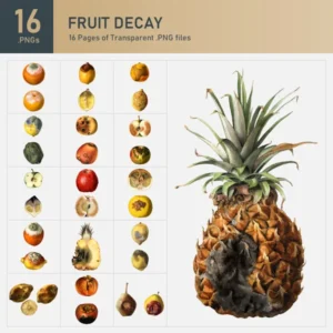 Fruit Decay Collection