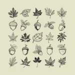 Leaves and Acorns Vector