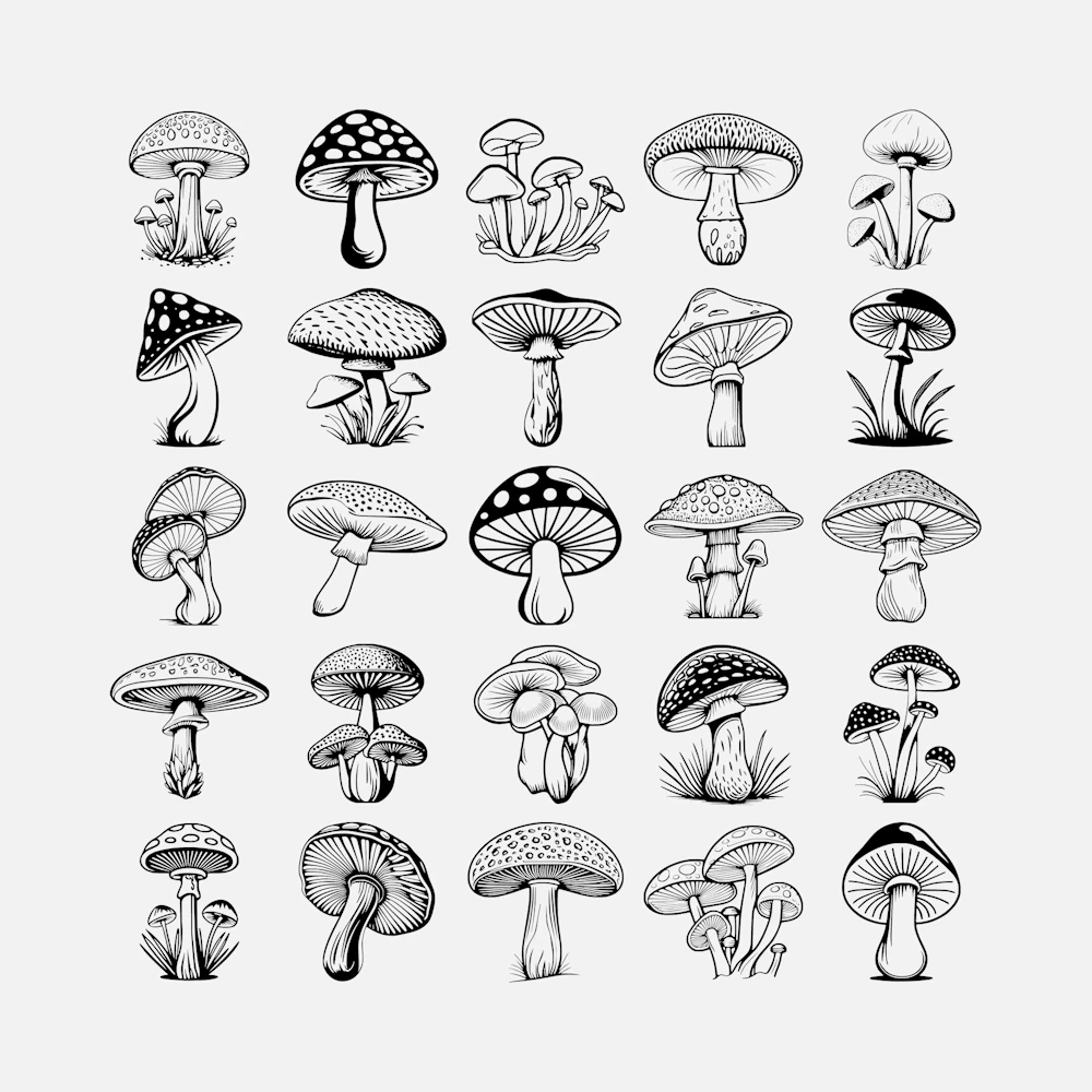 Mushrooms Vector
