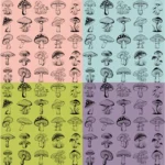 Mushrooms Vector