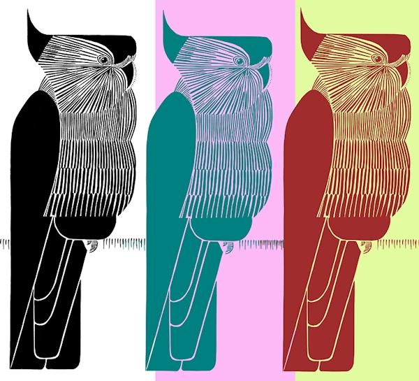 Three Vector Birds in Various Colors