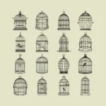 Bird Cages Vector