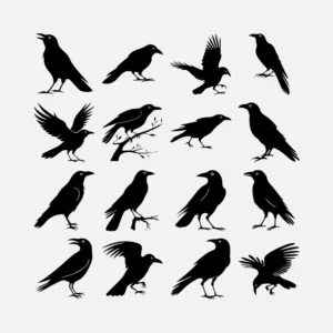 Crows Vector