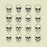 Skulls Vector