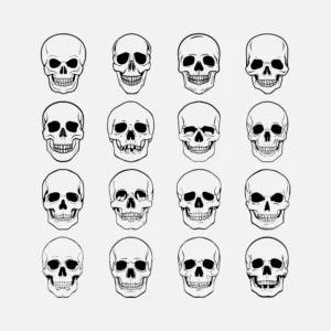 Skulls Vector
