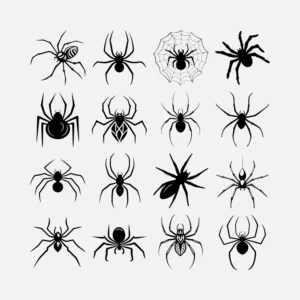 Spiders Vector